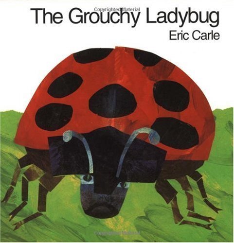 ladybug.jpg