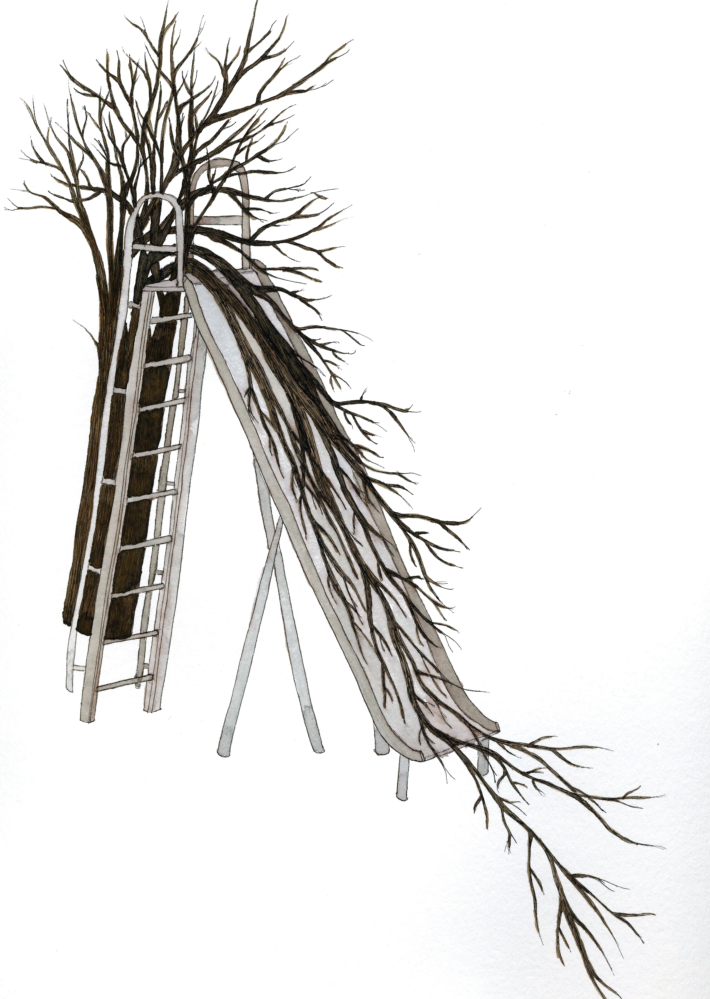 Tree Slide