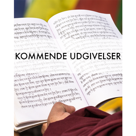 nyeudgivelser-t.png