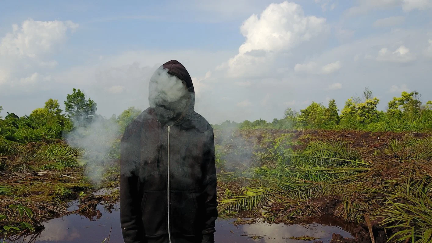 Mark Jenkins Peatland Riau Photo Credit Ernest Zacharevic 2017 .JPG