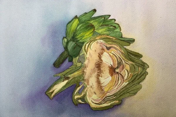 artichoke new.jpg