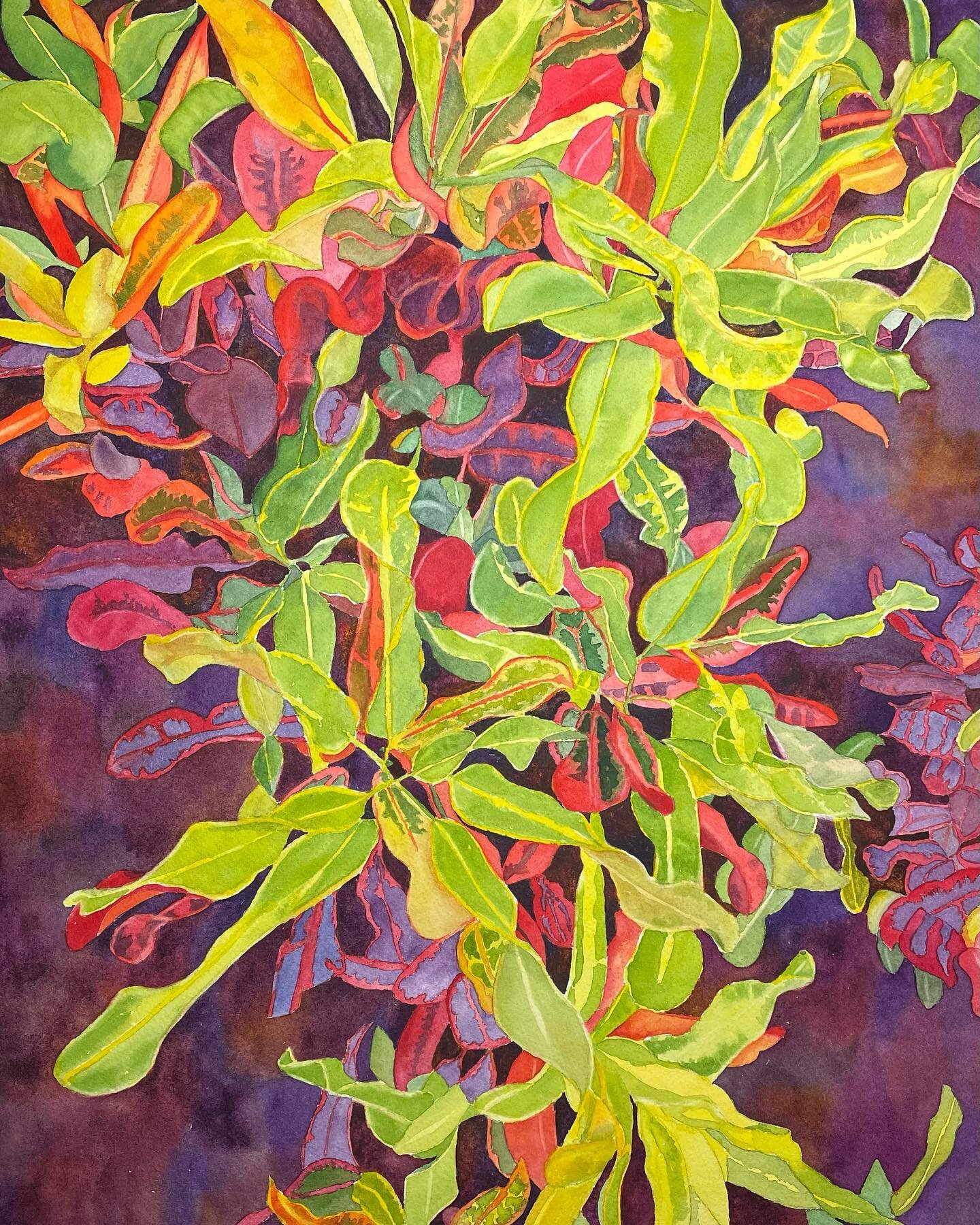 Excited to share that my paintings Cascading Color and Caribbean Blues won first and second place in watercolor at the 102nd juried show of the New Rochelle Art Association. Show runs through November 6 at the New Rochelle NY Public Library. Thanks N