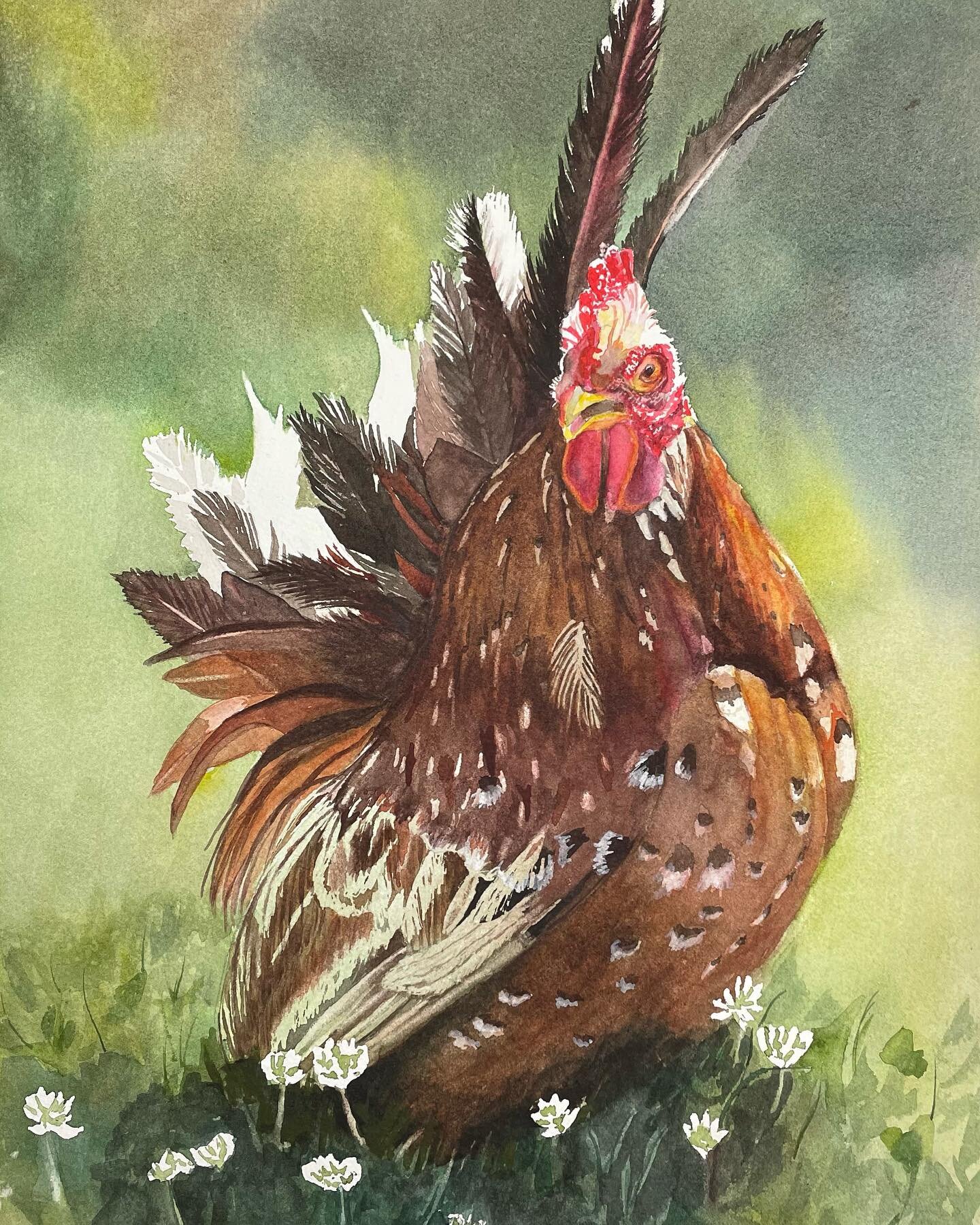 Thanks to @kathleen_giles for a great class! Finally finished the #rooster #watercolor #watercolour #aquarelle #watercolor_art #watercolor_artist #watercolor_inlove