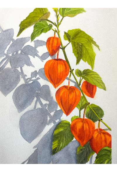 Lanterns and Shadows