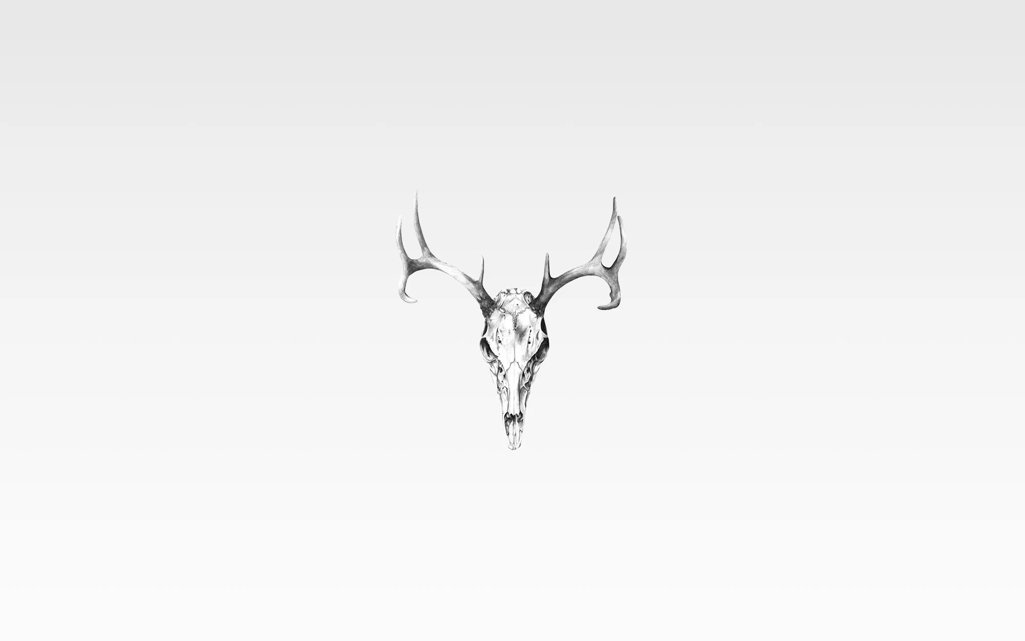 Header-background.jpg
