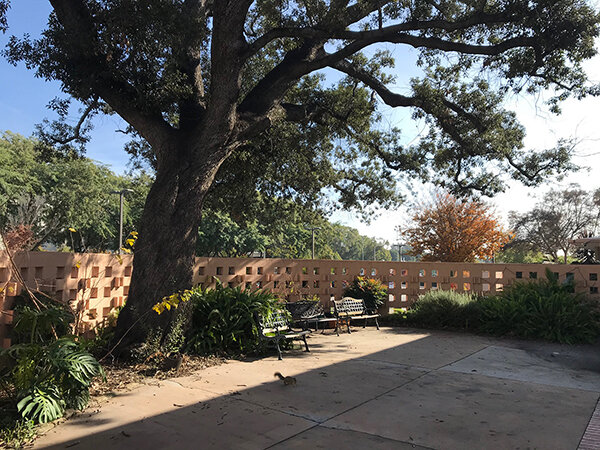 Library Patio (Copy)