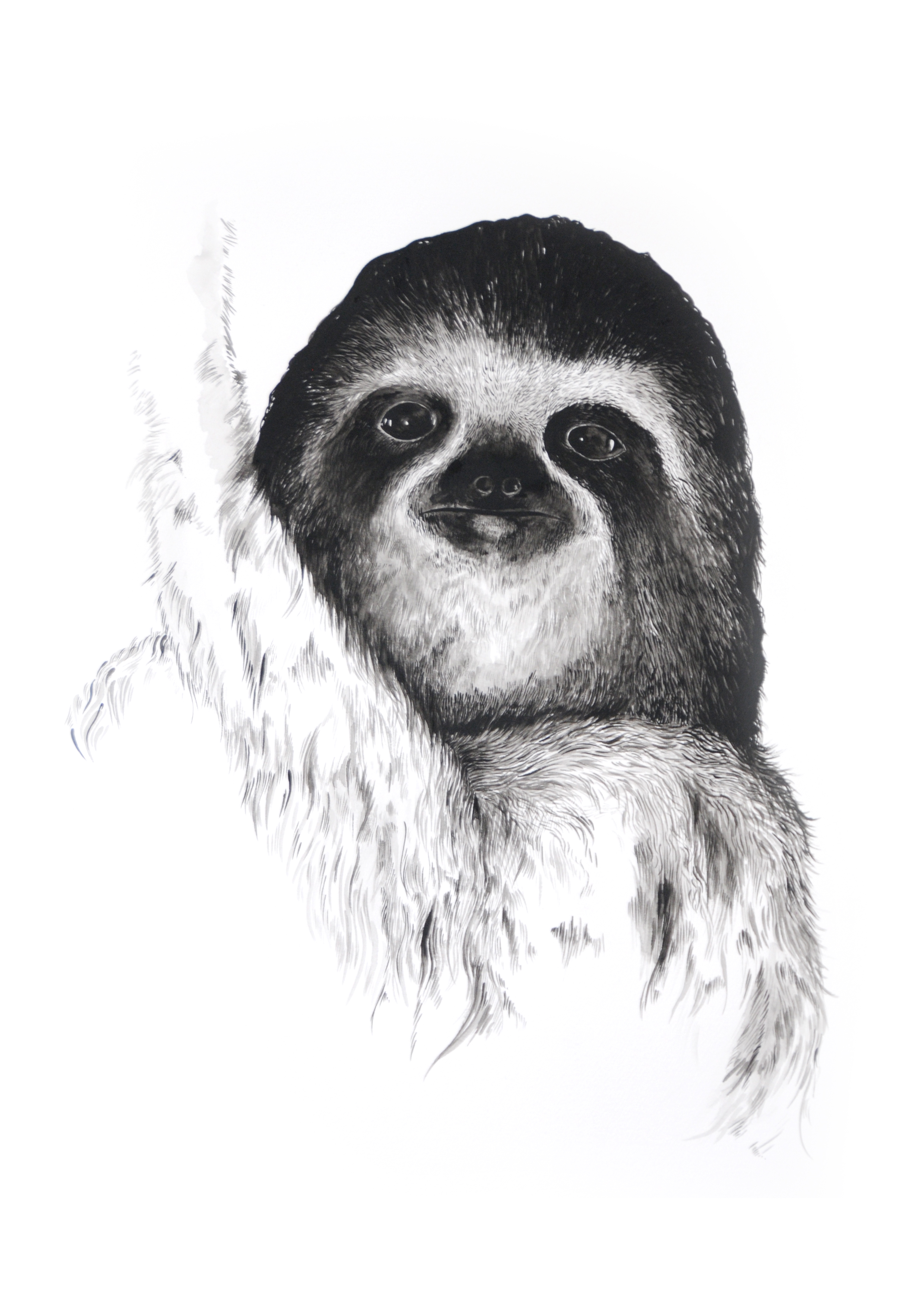 LukeEmbden-Sloth.jpg