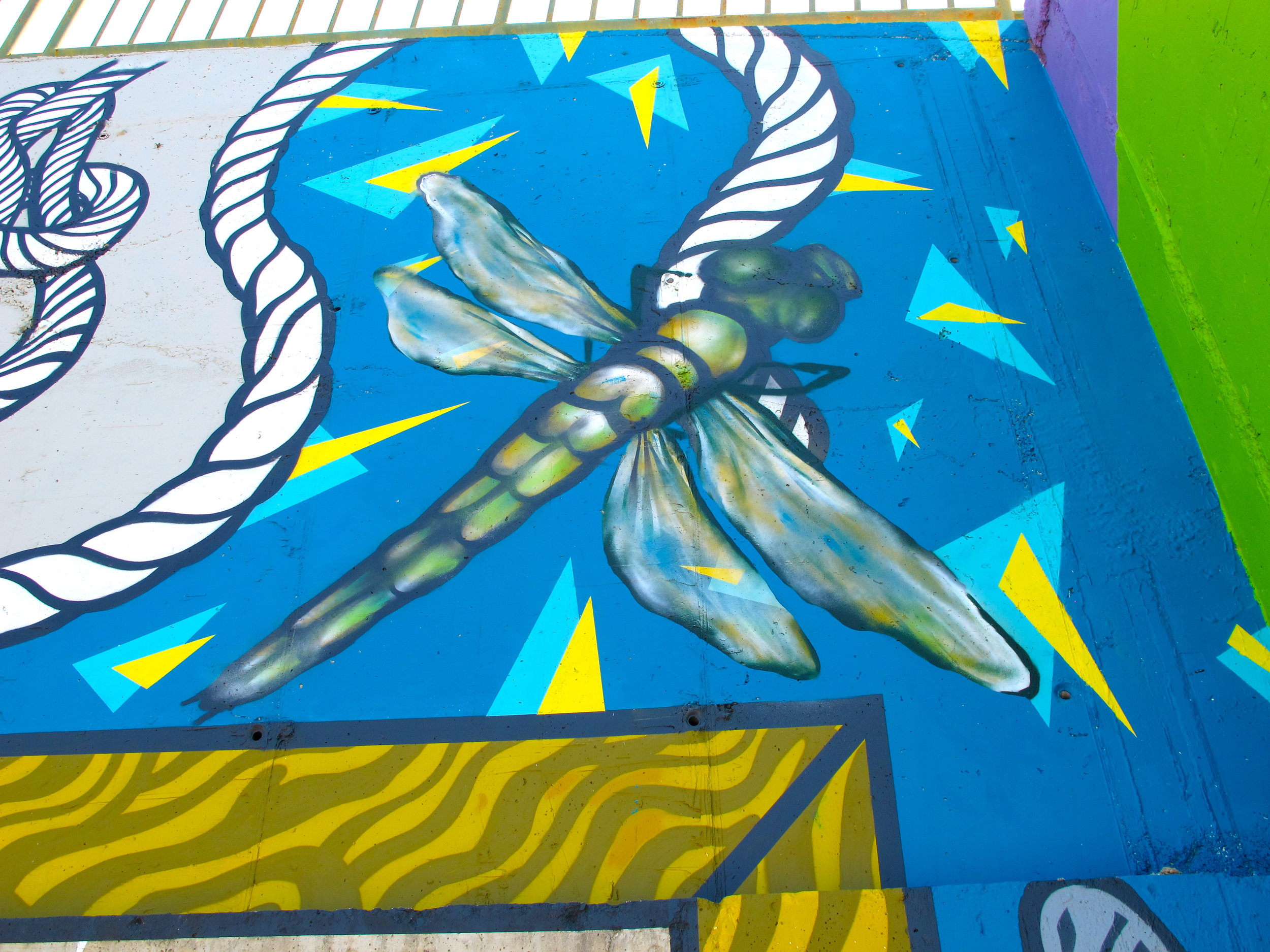 Dragonfly-LukeEmbden.jpg