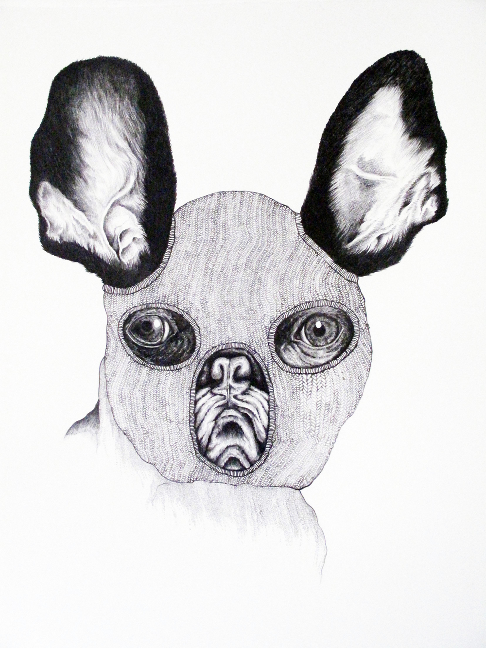 Frenchie-website.jpg
