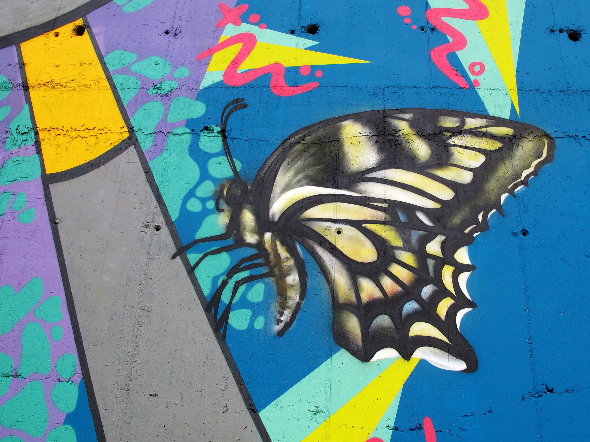 Butterfly-Mural-Zuljana.jpg