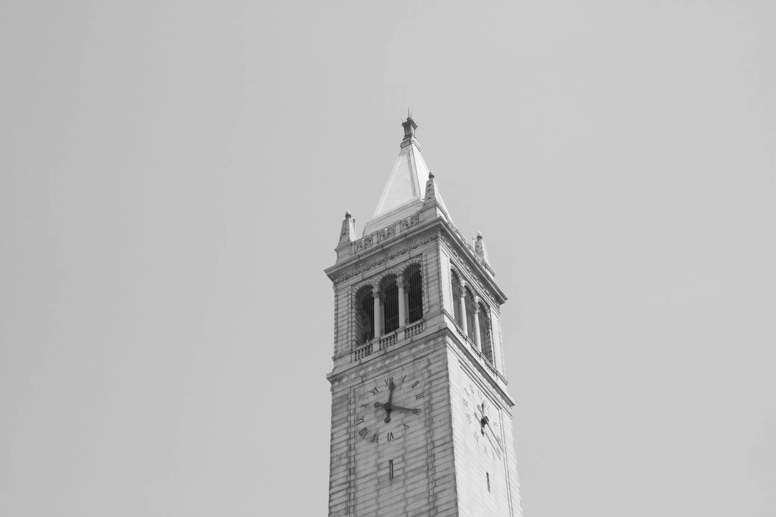 IMG_3575.jpg
