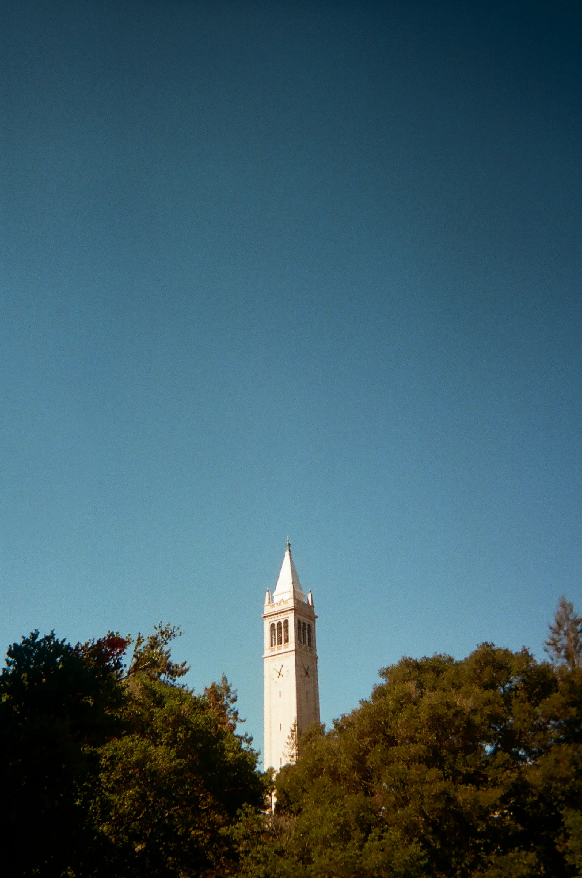 The Campanile . Berkeley, CA. 