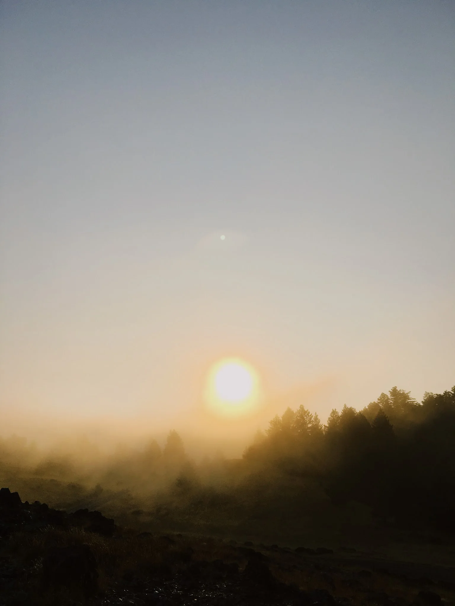 F275AABD-C41D-404D-BBB3-86A11D7D9024.jpg