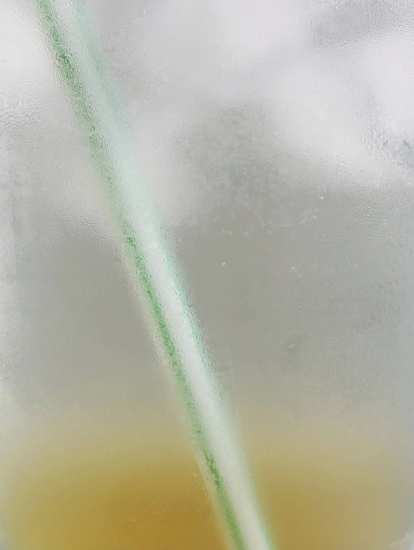 FullSizeRender 9.jpg