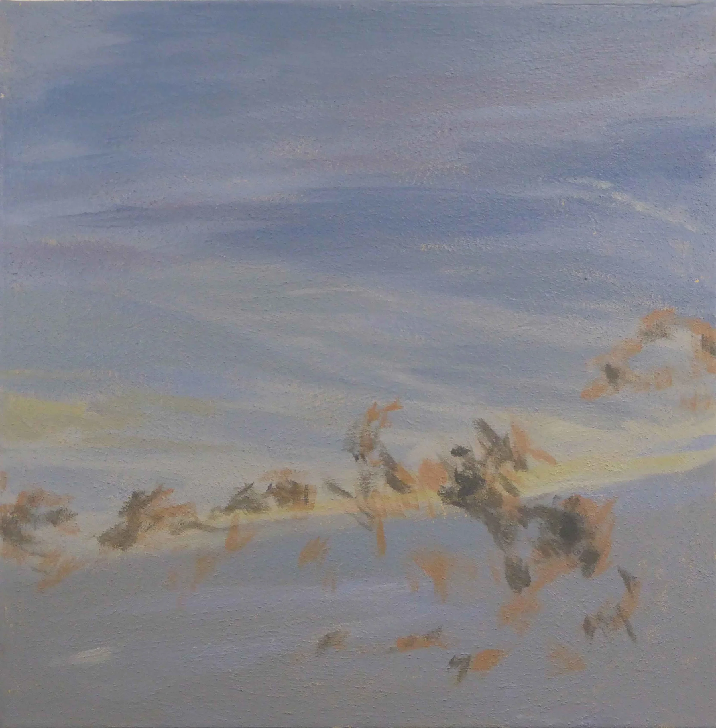 Skies #4