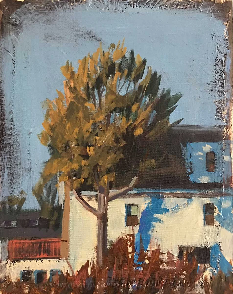 Tree Shadow
