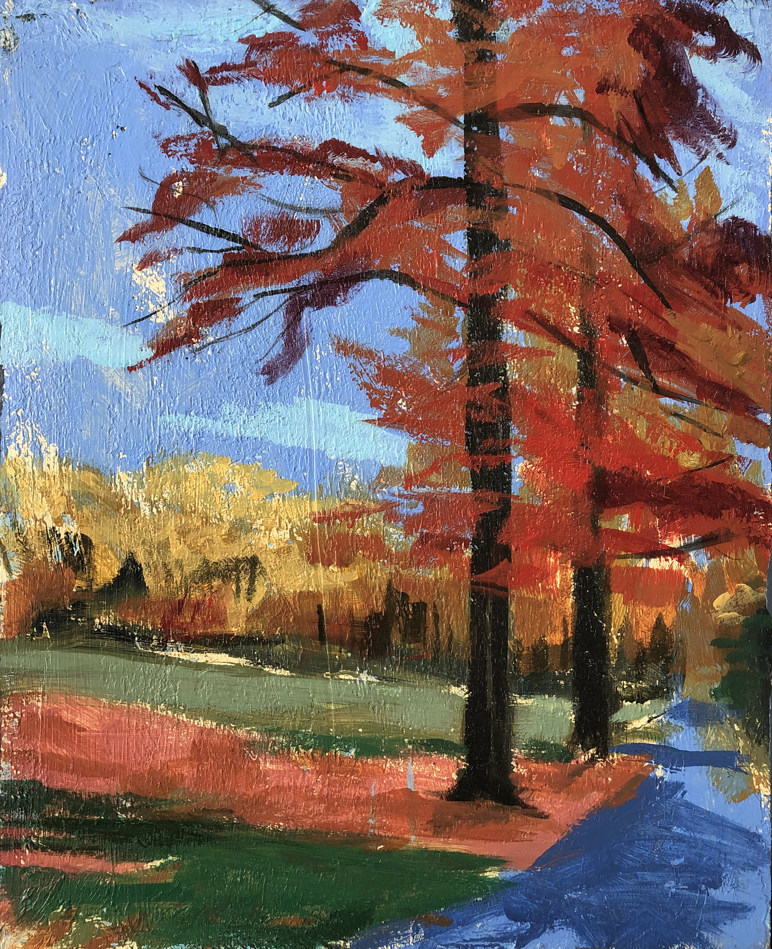 2- The Trees are on Fire