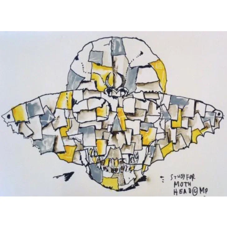 Study For Moth Head
