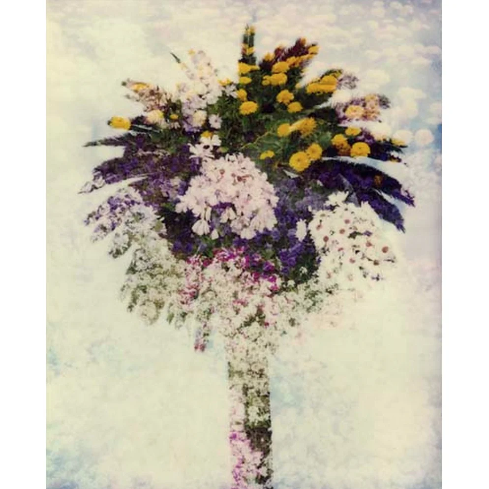 the washingtonian.jpeg