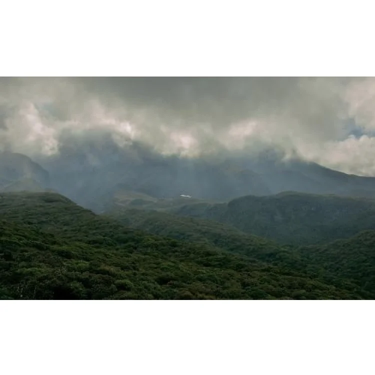 taranaki whenua 3.jpeg