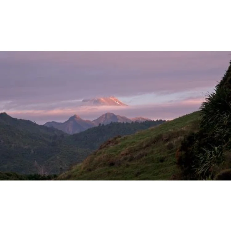 taranaki whenua 5.jpeg