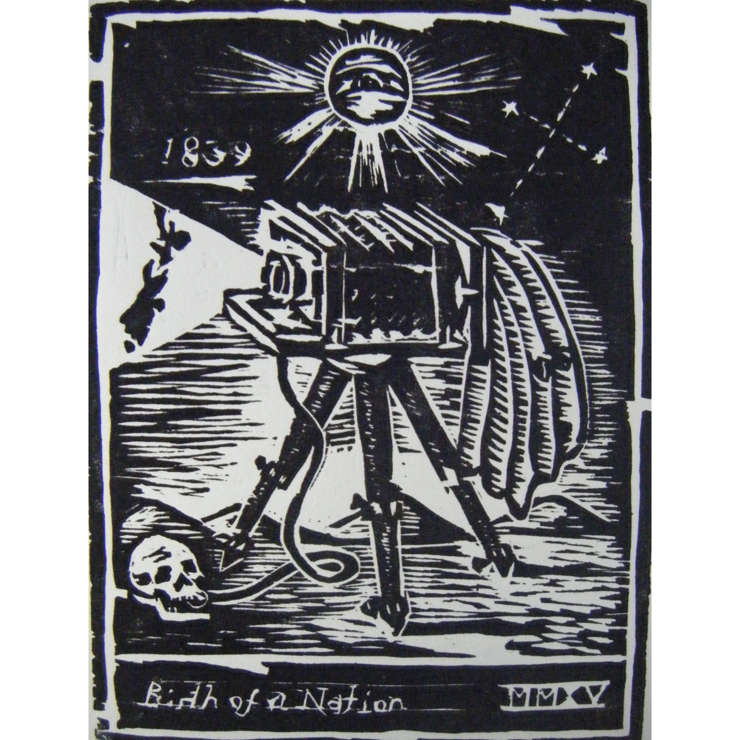 birth of a nation.jpeg