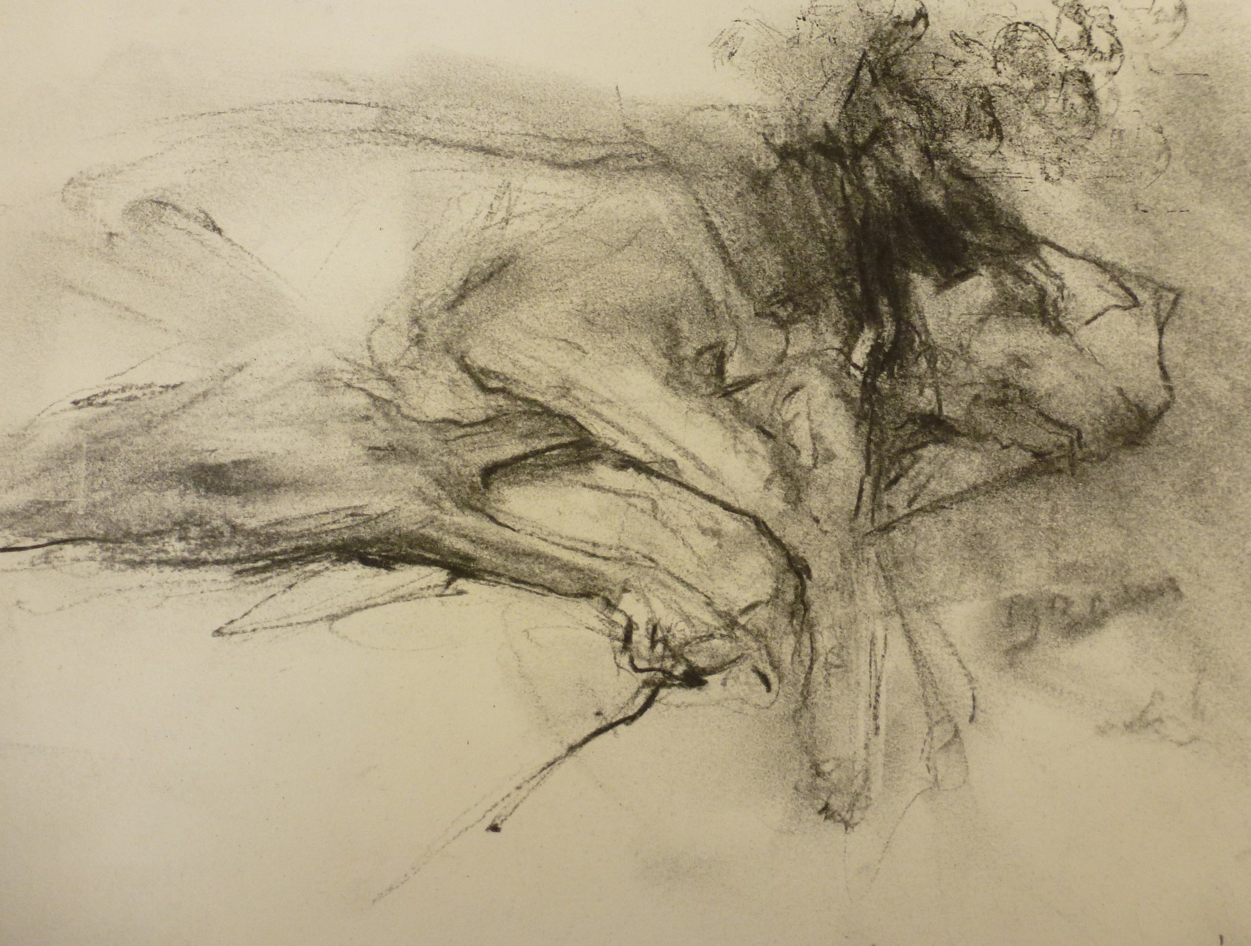 Bat a Good Dream.JPG