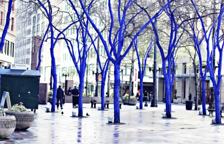 Seeing the Forest &amp; the Trees: Konstantin Dimopolous