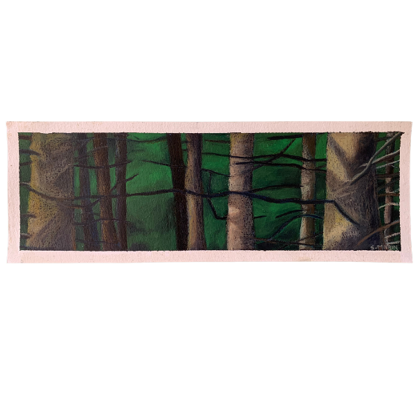 'Horizontal Te Mata Trees'