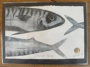 June Fairhead&rsquo;s small works hold the whole sea.
Working with recycled Tetra Pak plates, Fairhead creates delicate drypoint prints that speak to the fragility and interconnectedness of our oceans &mdash; their rhythms, their creatures, their qui