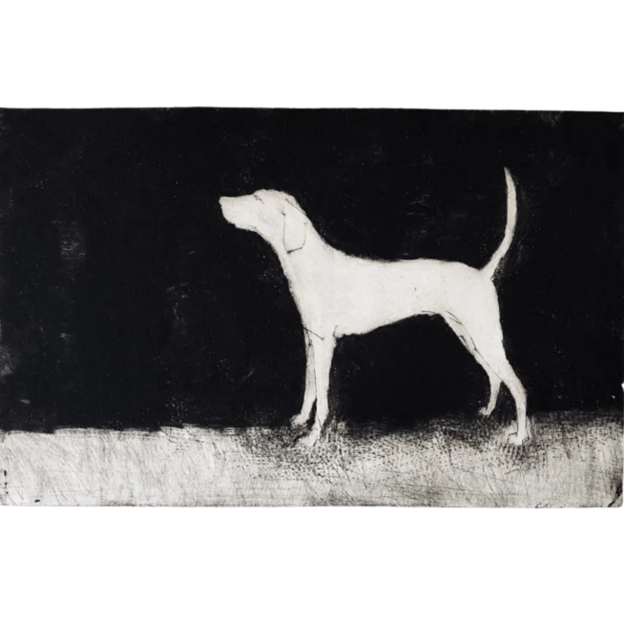 Looking Back to The Future