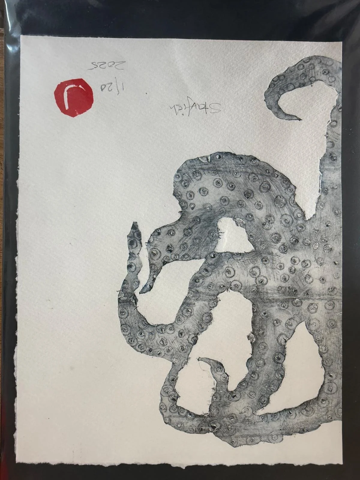 WhatsApp Image 2025-11-04 at 13.57.58_ba276edb.jpg