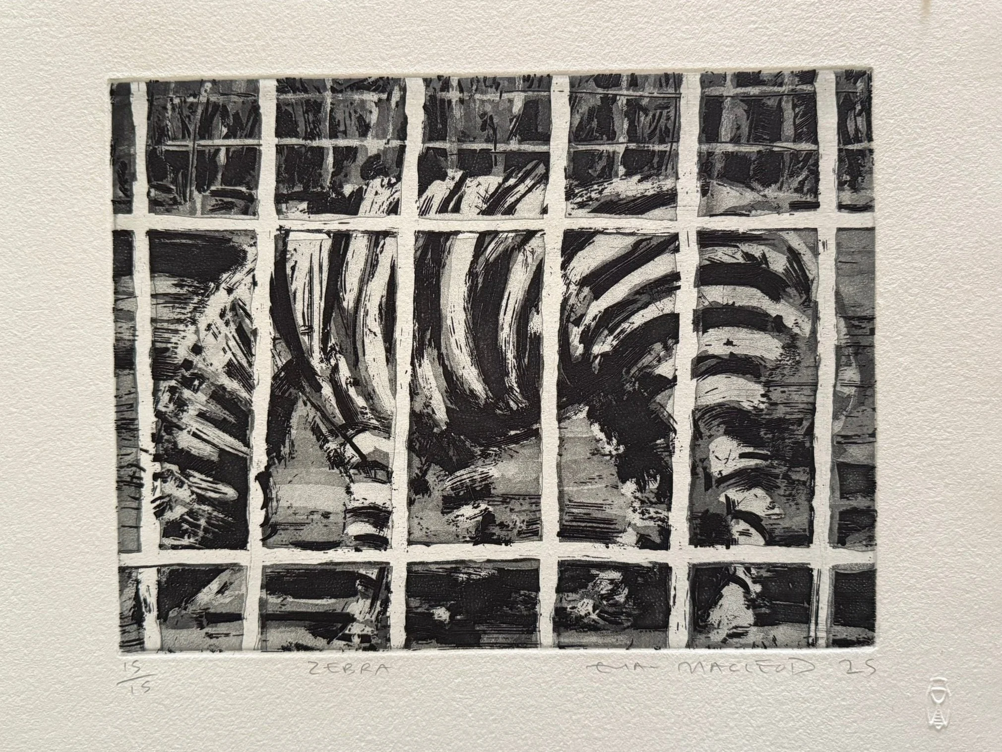 Zebra.jpg