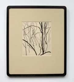 Bushwalk - Remnant II