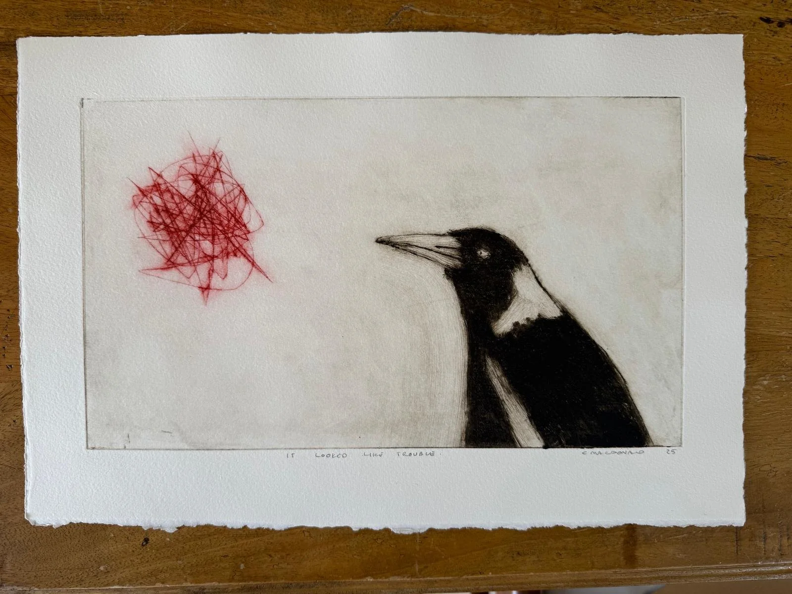 WhatsApp Image 2025-10-30 at 12.12.25 PM (1).jpeg