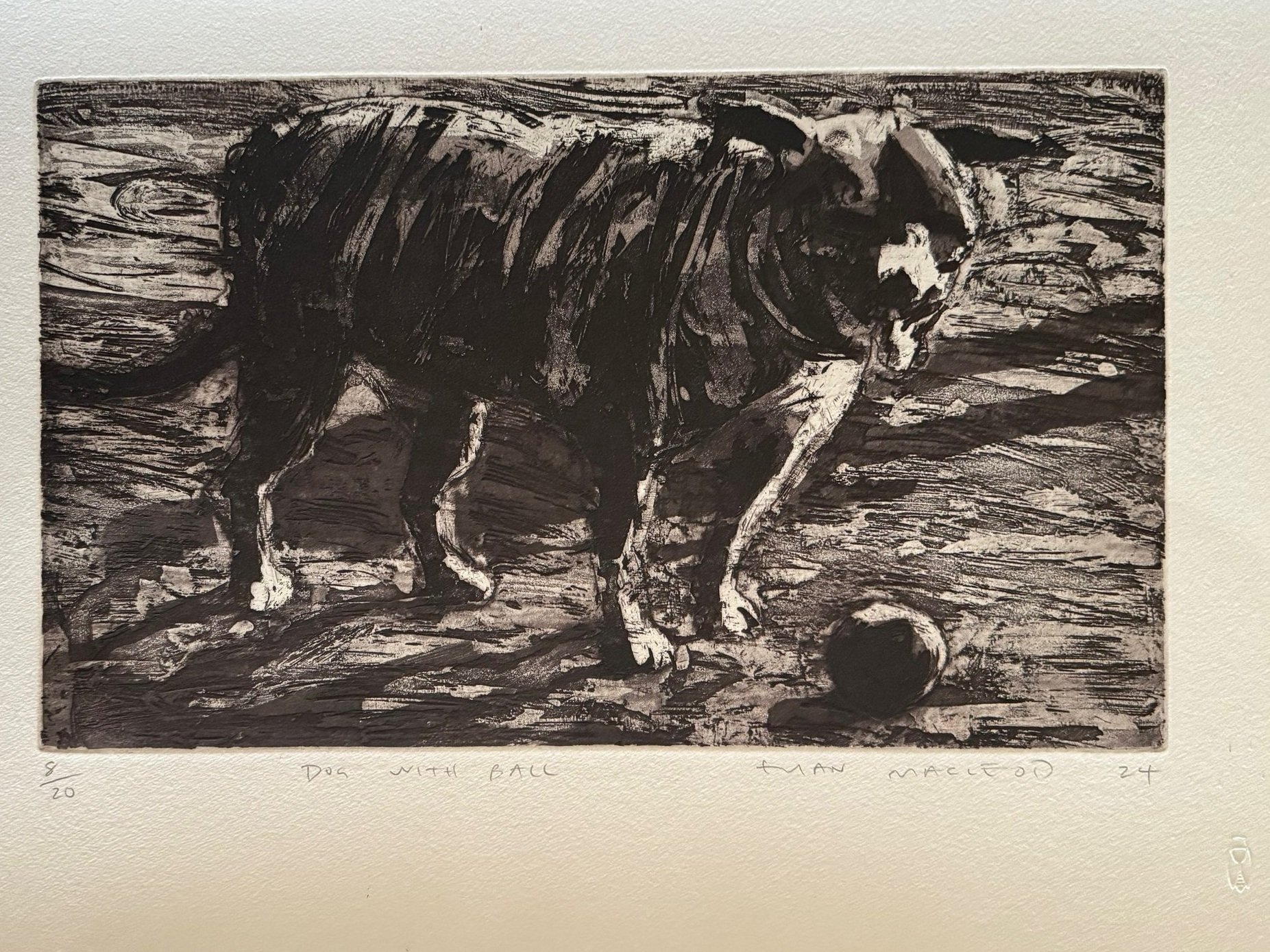 dog+with+ball.jpg