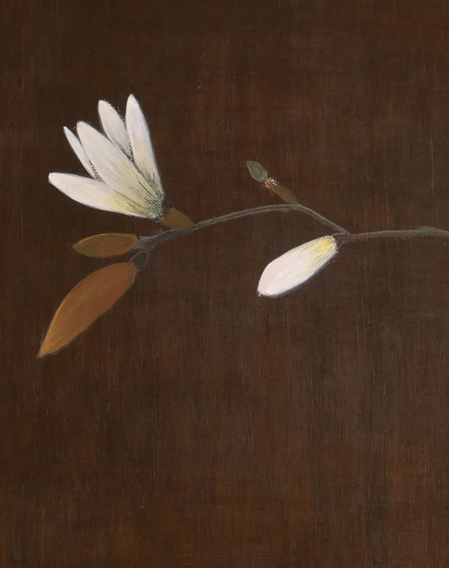 Micheladetail1_d620fcae-ac02-45b0-b1c4-b5794a29304c_1800x1800.webp