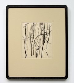 Bushwalk - Remnant I