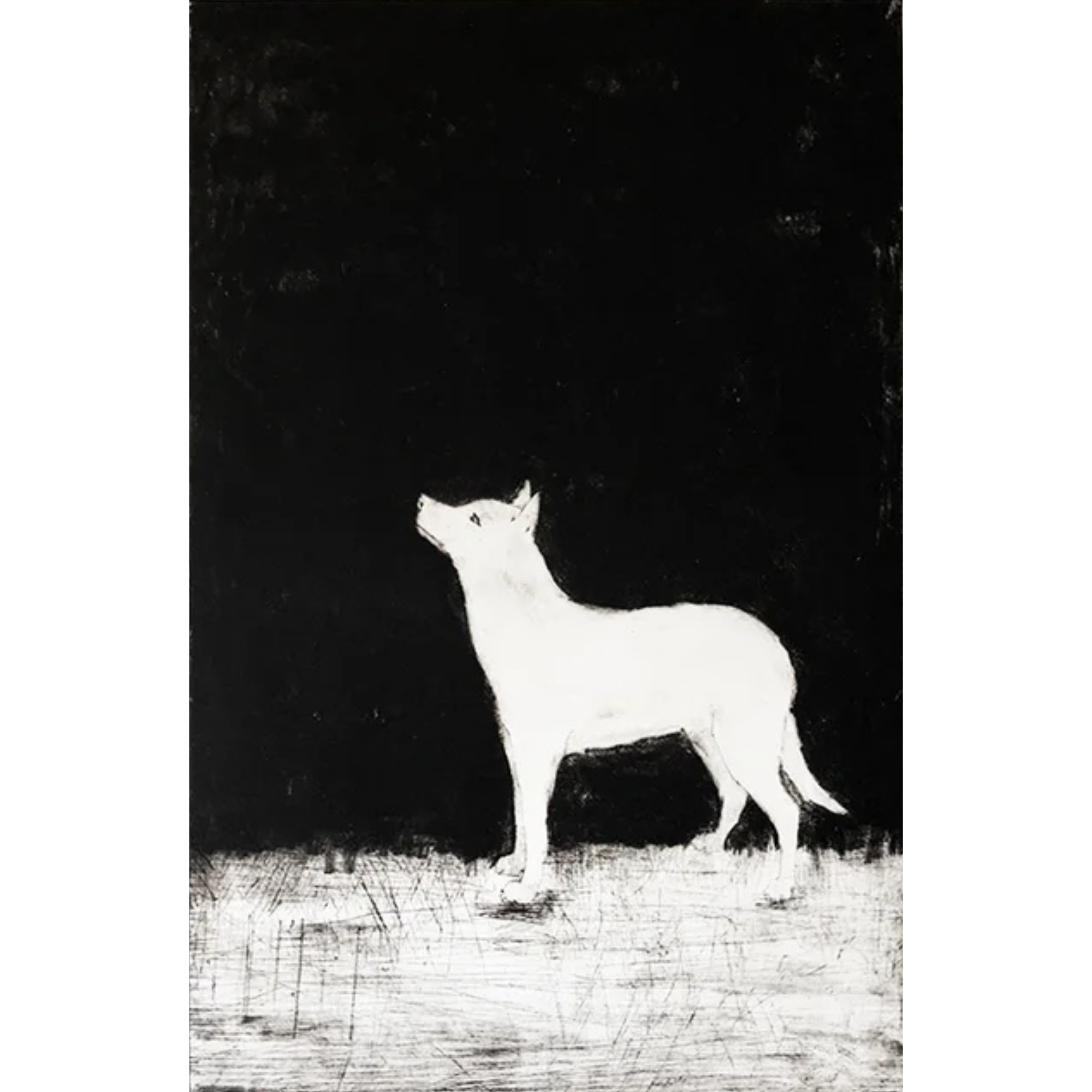 In A Night Such As This