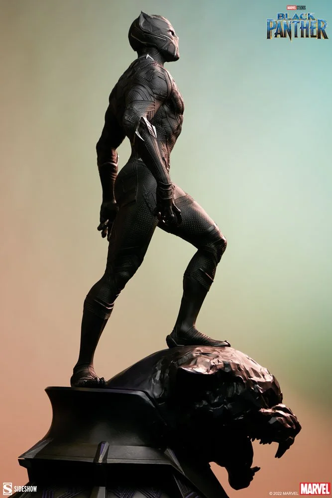 black-panther_marvel_gallery_620d3cf0ca897.jpg