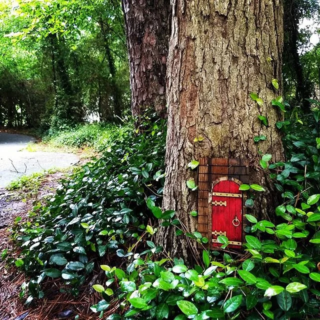 Discovered this little #trailgem ❤️🏃my 4mi route in reverse #changeitup #kimrileyphotography