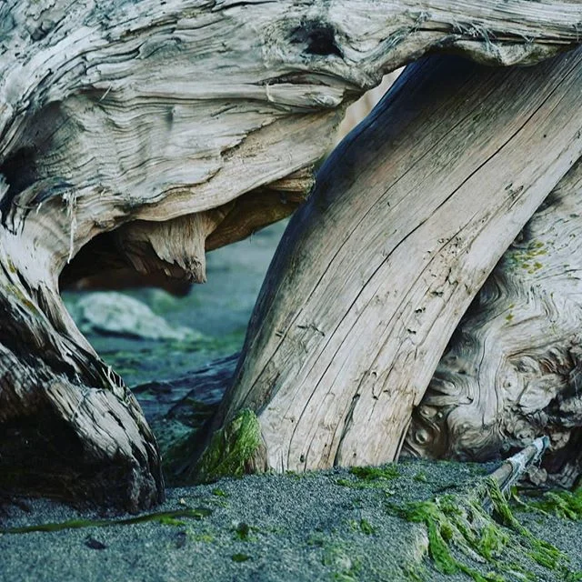 I❤️pnw #kimrileyphotography #hearts #westcoast