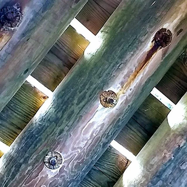 Beauty is everywhere