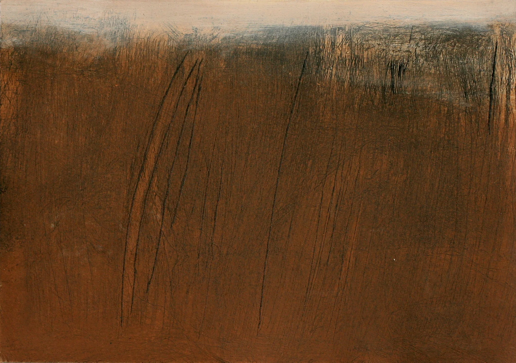 etching with monotype 7" x 9"