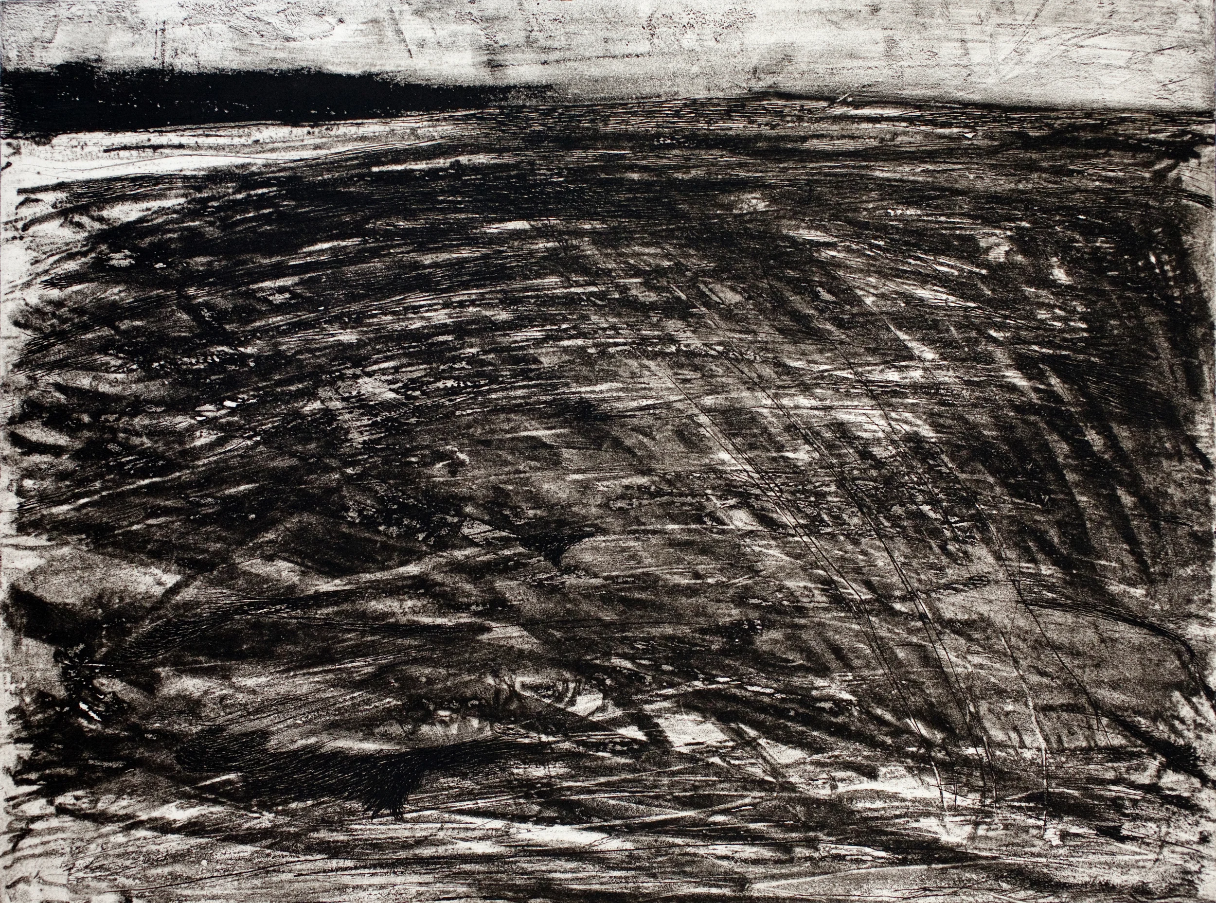 etching with monotype 24" x 28"
