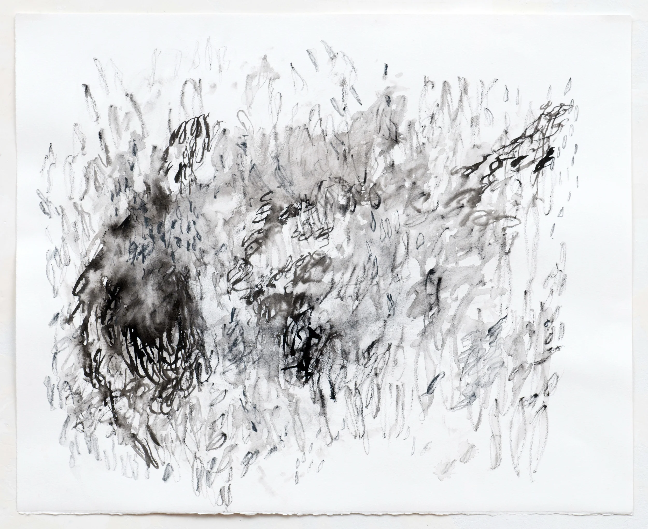 ink, watercolor pencil on paper22" x 26"