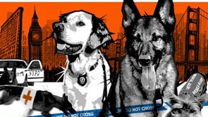 BLUE COLLAR DOGS: Canine MD