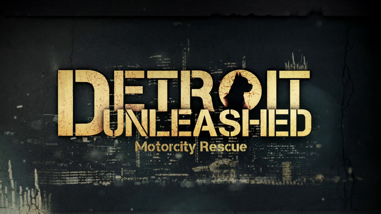 DETROIT UNLEASHED (Tease)