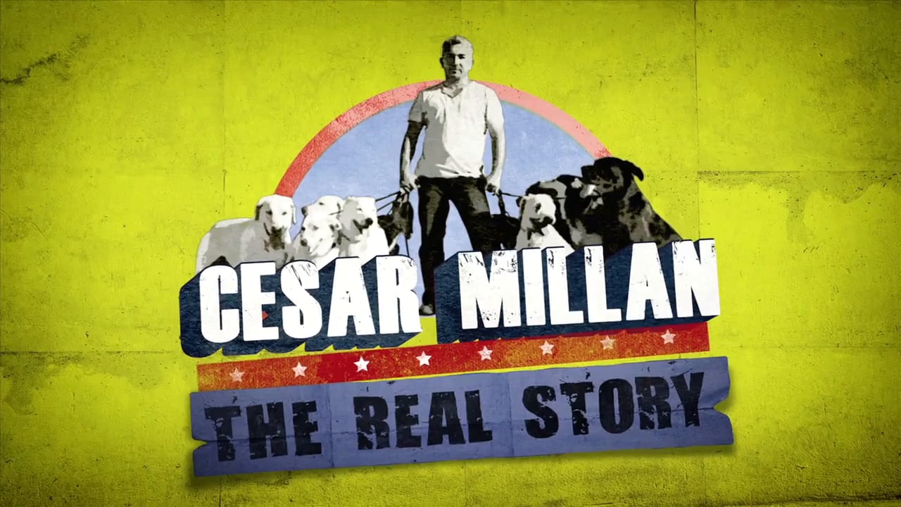 CESAR MILLAN: The Real Story (Tease)