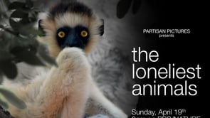 THE LONELIEST ANIMALS (Tease)